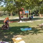 12 *